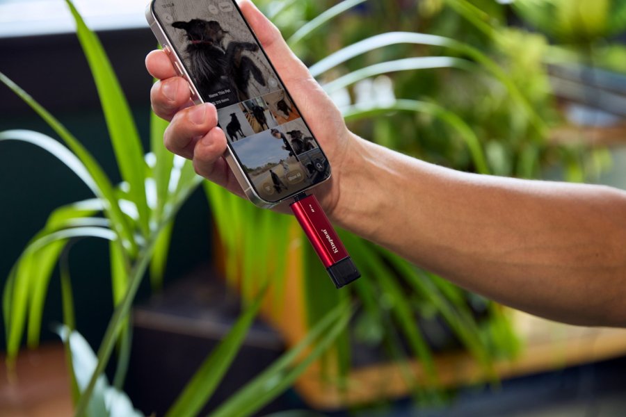 Kingston Technology 2TB Dual USB-A/C Portable SSD, Up to 1050MB/s USB 3.2 Gen 2 #14