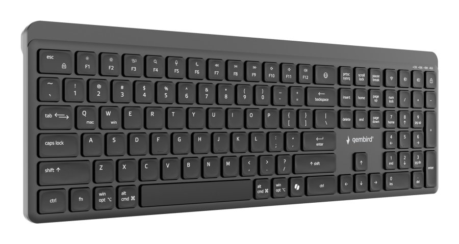 Gembird KB-WPS-03 tastatur Kontor RF tr�dl�s + Bluetooth QWERTY US International Sort #4