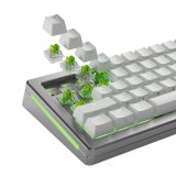 Glorious Gaming GLO-KB-ACC-SWT-RAPTOR-HE-36 tilbehr til tastatur Tastaturafbrydere #6
