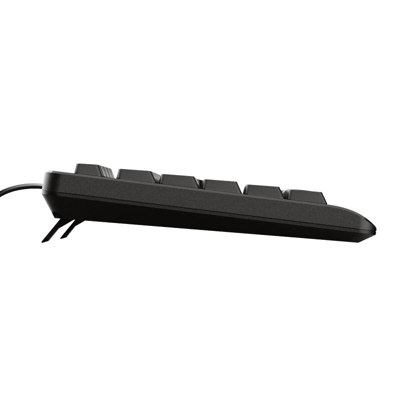 Trust Primo tastatur USB QWERTY US engelsk Sort #7