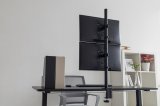 Digitus DA-90438 skrmbeslag og -stativer 81,3 cm (32