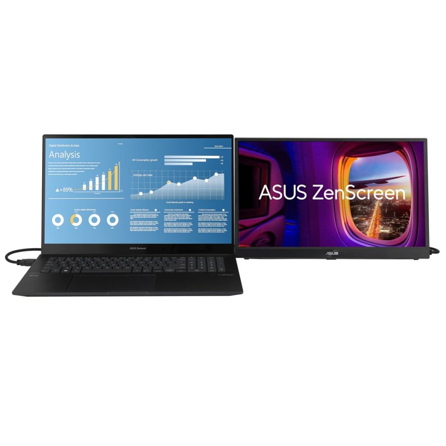 ASUS ZenScreen MB17AHG computerskrm 43,9 cm (17.3