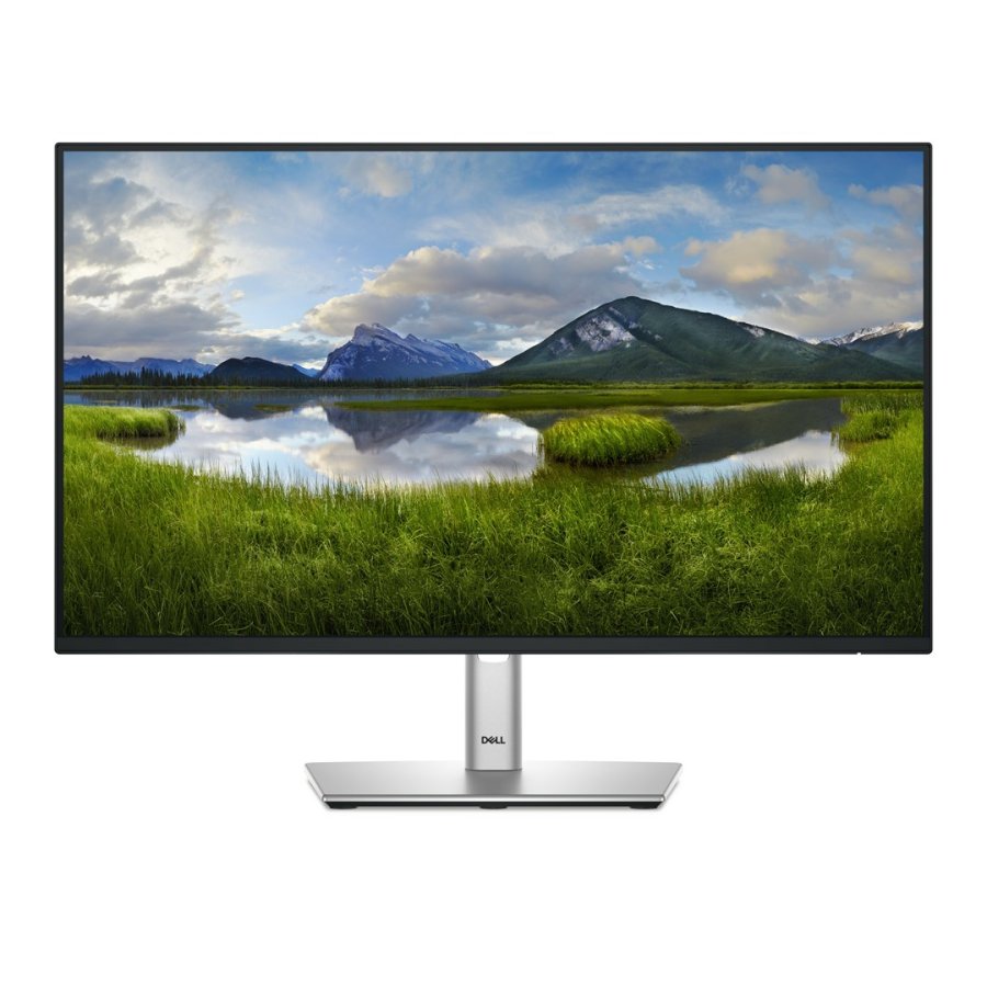 DELL P Series P2425HE computerskrm 61 cm (24