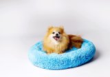 GO GIFT Shaggy blue M - seng til kledyr - 57 x 57 x 10 cm #3