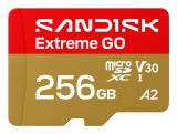 SanDisk Extreme GO 256 GB MicroSDXC UHS-I #1