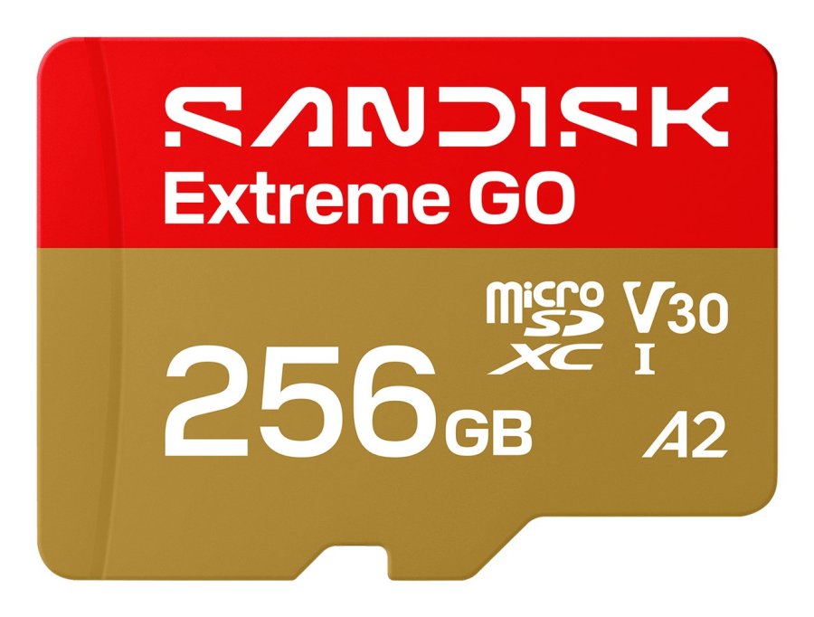 SanDisk Extreme GO 256 GB MicroSDXC UHS-I #1
