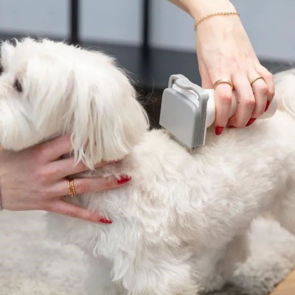 UDSTYR TIL HJEMMEPLEJE AF HUNDE OG KATTE MPM MOD-100 #13