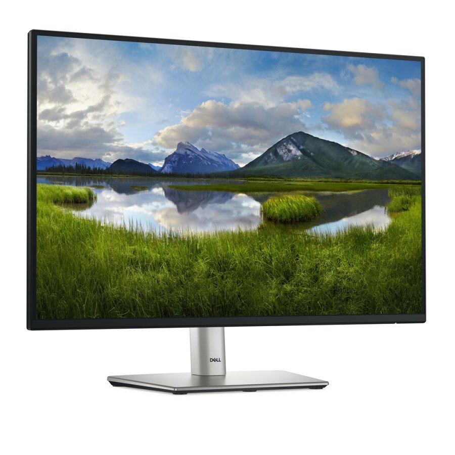 DELL P Series P2425E computerskrm 61,1 cm (24,1