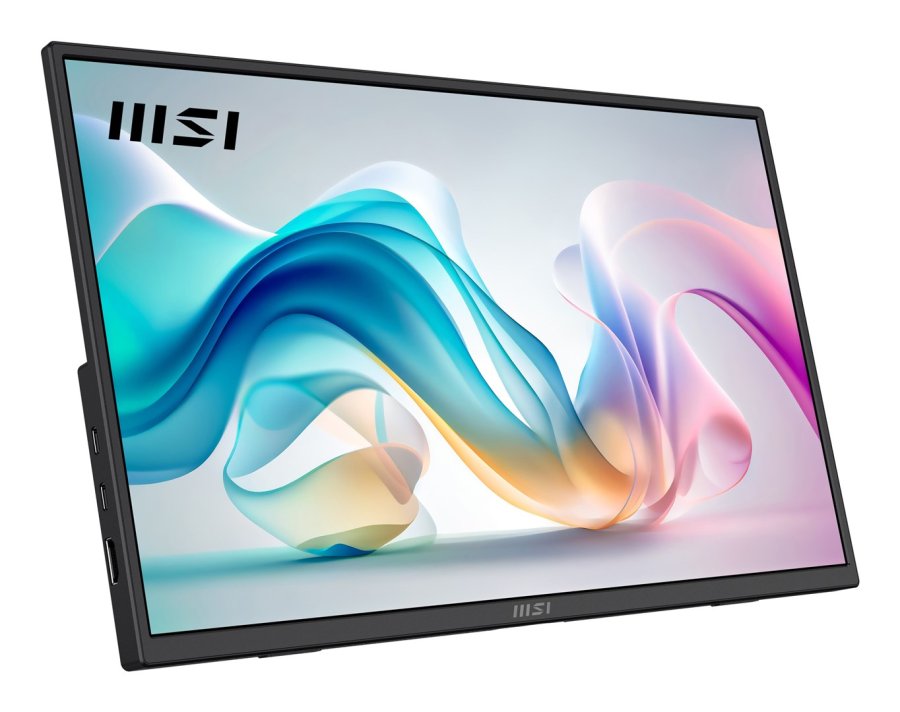 MSI PRO MP165DE E6 B�rbart tv og sk�rm B�rbar sk�rm Sort 39,6 cm (15.6