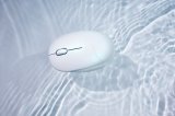 ASUS Fragrance Mouse MD101 mus Hjem Ambidextrous RF tr�dl�s + Bluetooth Optisk 2400 dpi #8