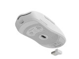 GENESIS Zircon 500 mus Spil Hjre hnd RF Wireless + Bluetooth + USB Type-C Optisk 10000 dpi #4