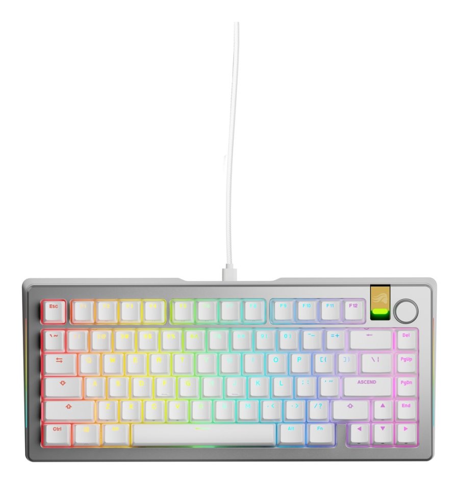Glorious Gaming GMMK 3 PRO HE 75% Prebuilt tastatur Spil USB QWERTY US engelsk Slv #7