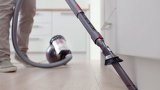 Dyson Big Ball Absolute 2 Beholder vakuum Dry #2