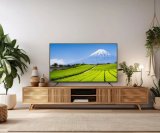 JAPANNEXT JN-IPS550UHD60F computersk�rm 139,7 cm (55