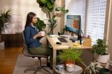 HP P34hc G4 WQHD USB-C Curved Monitor #9