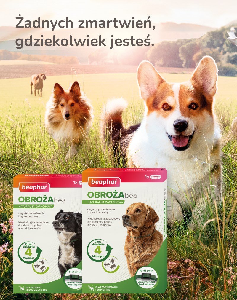 Beaphar beskyttelseshalsbnd til hunde strrelse M/L #10