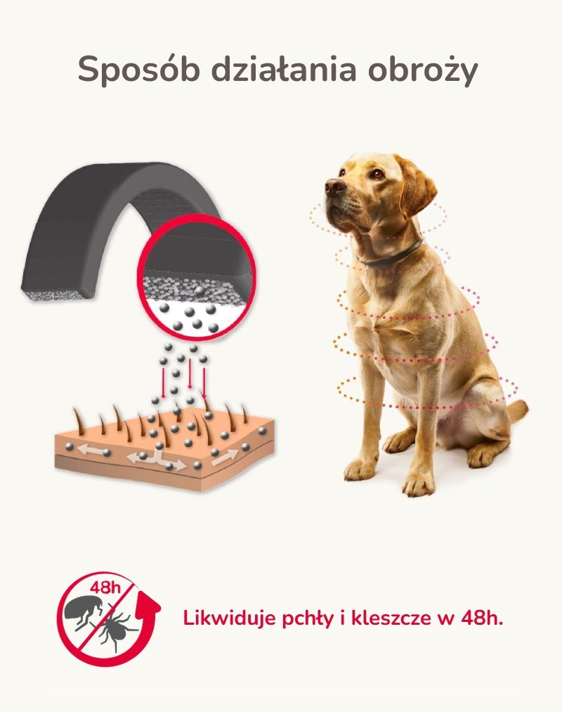 Beaphar biocidhalsbnd til sm og mellemstore hunde - 50 cm #3