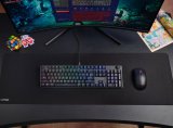 Trust GXT 866 TORIX tastatur Spil USB QWERTY US International Sort #12