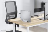 Neomounts NSLS300SILVER laptop stativ S�lv 43,2 cm (17