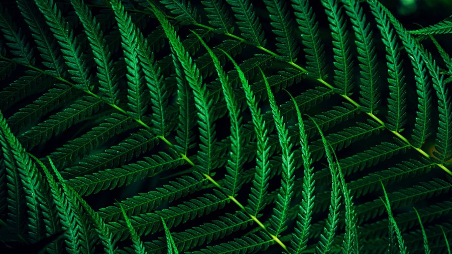 Philips 5000 series 27B2G5200/00 computersk�rm 68,6 cm (27