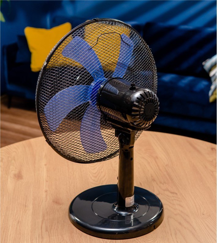 Zelmer ZTF0300 ventilator Sort #5