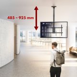 Loftmonteret TV-holder til Maclean, maks. belastning 60 kg, 43-86