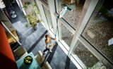 Stvsuger til Vinduer Leifheit Dry & clean 51003 #12