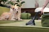 Hoover HP210P 011 2,5 L Beholder vakuum Dry 800 W Posel�s #18