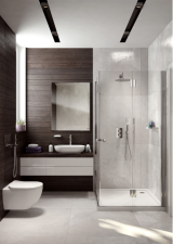 Skjult bidet mixer Deante Alpinia Skjult krom BG #5