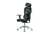 Ergonomisk kontorstol ERGO 600 sort #2