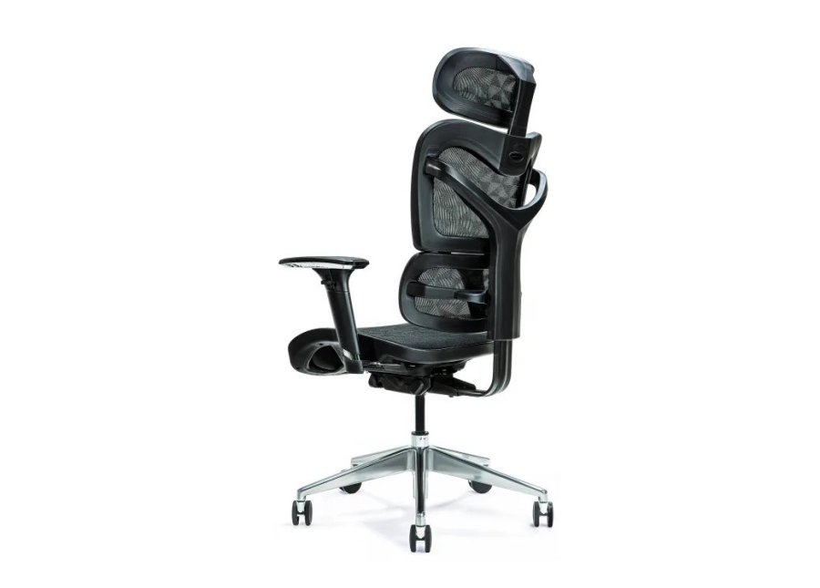 Ergonomisk kontorstol ERGO 600 sort #2