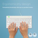 R-Go Tools Ergonomisch toetsenbord R-Go Compact Break, compact toetsenbord met pauzesoftware, QWERTZ (DE), bedraad, wit #9