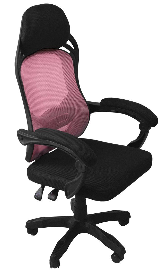 Topeshop FOTEL OSCAR CZ/R Computermbel og kontorstol Polstret sde Rygln med trdnet #2