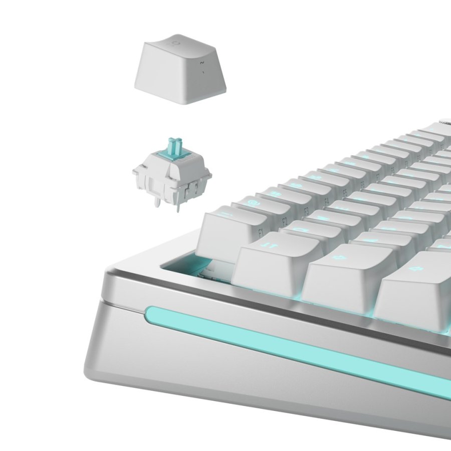Glorious Gaming GLO-KB-ACC-SWT-LYNX-LUBED-36 tilbehr til tastatur Tastaturafbrydere #2