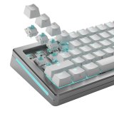 Glorious Gaming GLO-KB-ACC-SWT-LYNX-LUBED-36 tilbehr til tastatur Tastaturafbrydere #6