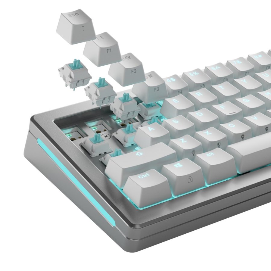 Glorious Gaming GLO-KB-ACC-SWT-LYNX-LUBED-36 tilbehr til tastatur Tastaturafbrydere #6