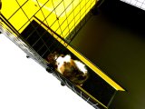 C&C Modulrt bur 3x2 + Loft 2x1+ sort rampe #5