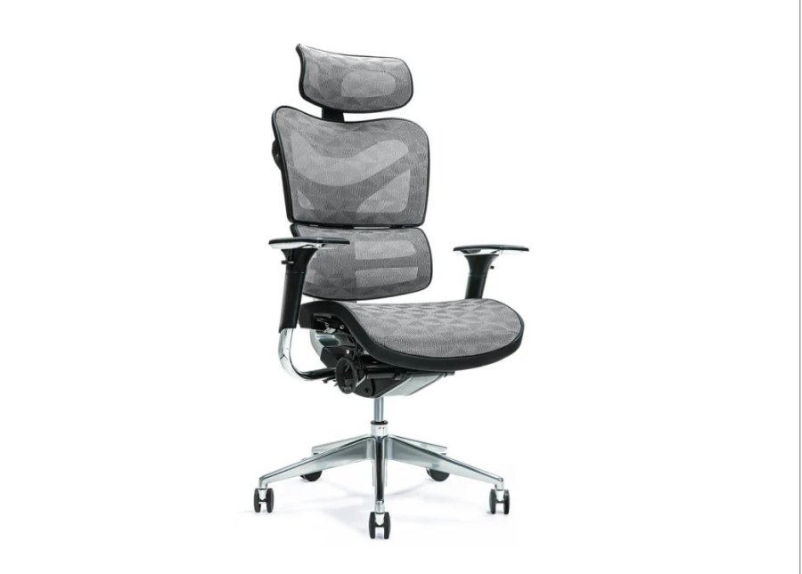 Ergonomisk kontorstol ERGO 700 gr #1