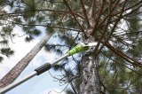 40V Greenworks G40PSF stangsave - 1401107 #4
