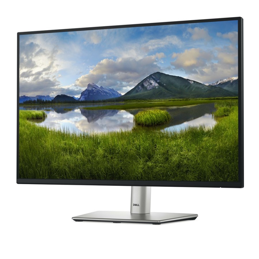 DELL P Series P2425E computerskrm 61,1 cm (24,1