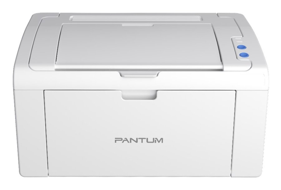Pantum P2509W laser printer 1200 x 1200 dpi A4 Wi-Fi #1