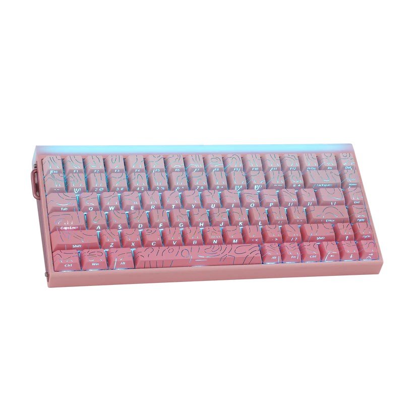 HERO84 HE PINK+Gradient+Contour Dragon King-switch RGB AULA-tastatur #16