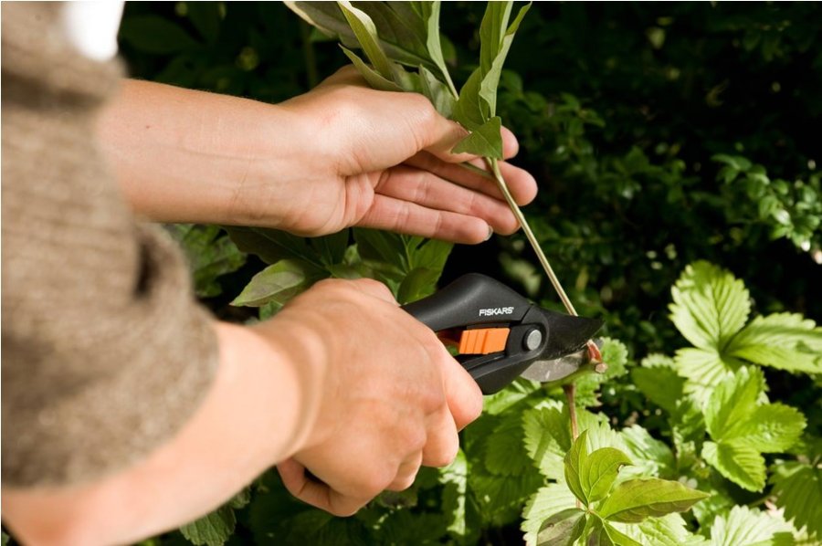 Fiskars 111260 beskringssaks Aflede Sort #3