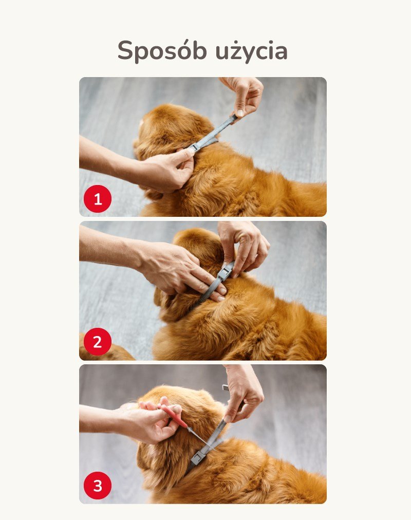 Beaphar biocidhalsbnd til sm og mellemstore hunde - 50 cm #5