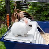 FERPLAST Rabbit 120 - Bur #5