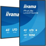 IIYAMA 108cm LH4375UHS-B2AG HDMI DP USB #1