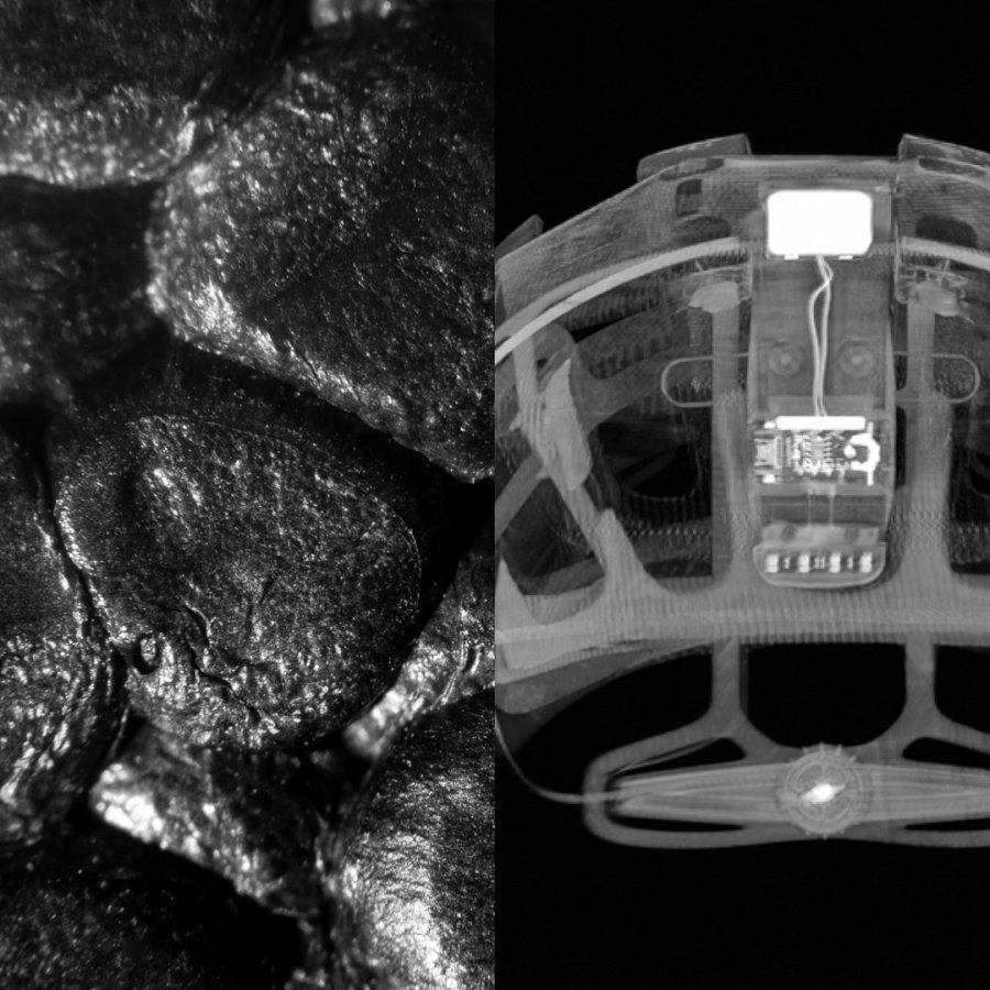 POC PC108688827SML1 sports hovedbekldning Orange, Hvid #3