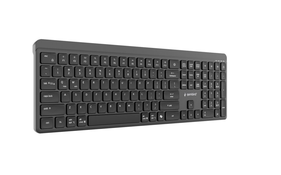 Gembird KB-WPS-03 tastatur Kontor RF tr�dl�s + Bluetooth QWERTY US International Sort #11