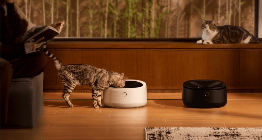 Petlibro Polar vandsk�l og foderautomat til hund og kat Hvid Automatisk foderautomat til k�ledyr #4