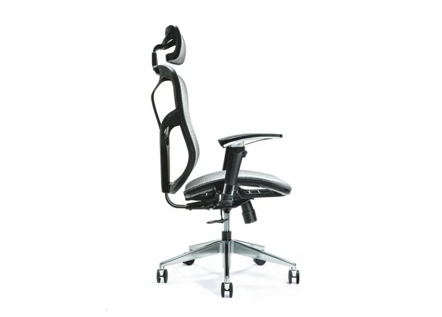 Ergonomisk kontorstol ERGO 500 gr #2